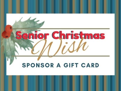 Christmas Wish For Seniors